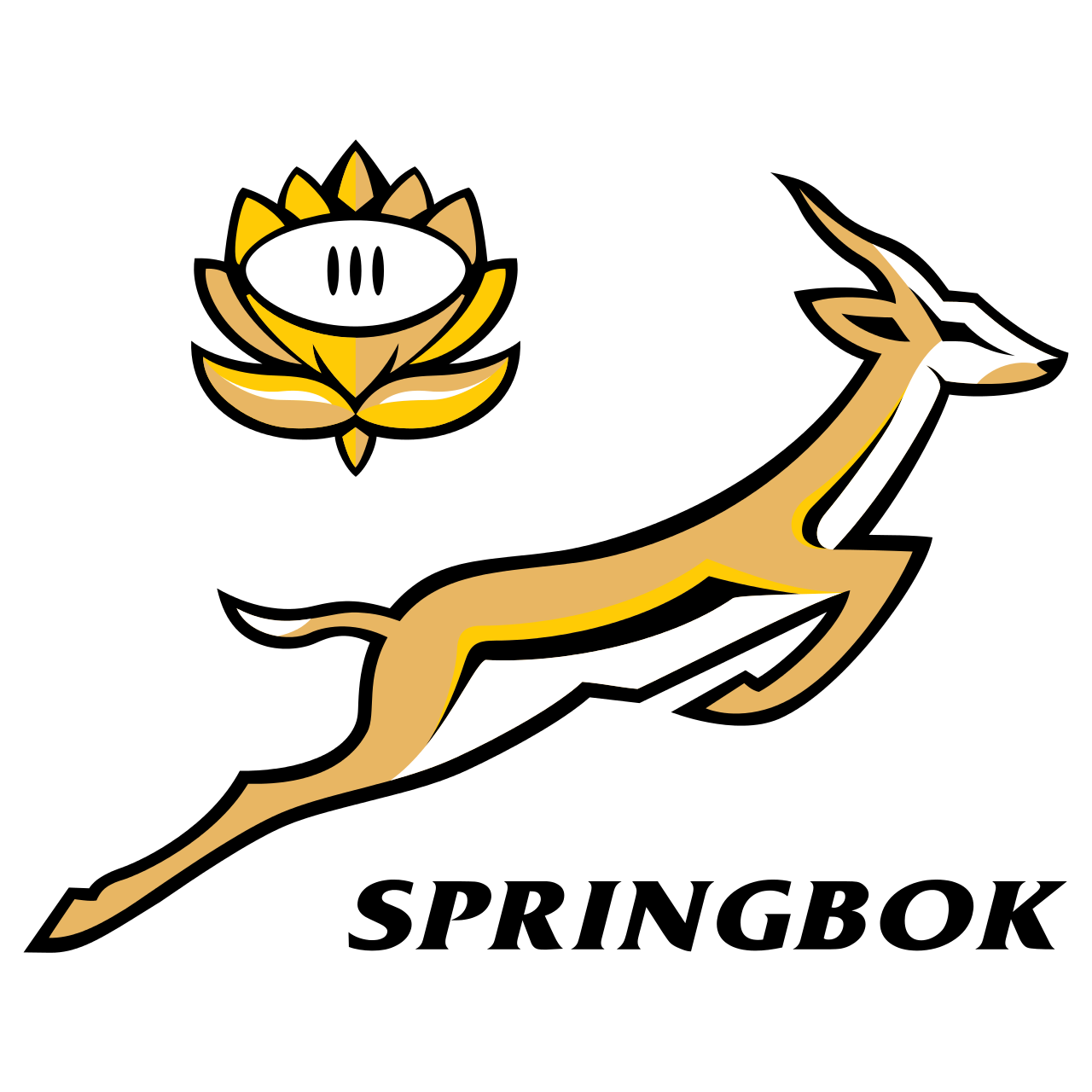South Africa Springboks